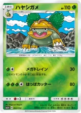 ハヤシガメ