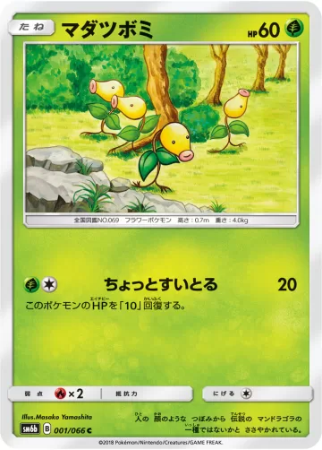 マダツボミ C