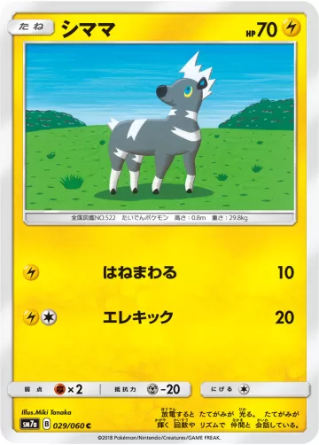 シママ C