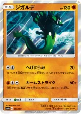 ジガルデ R