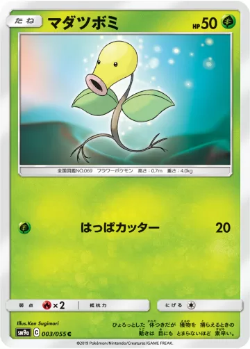 マダツボミ C