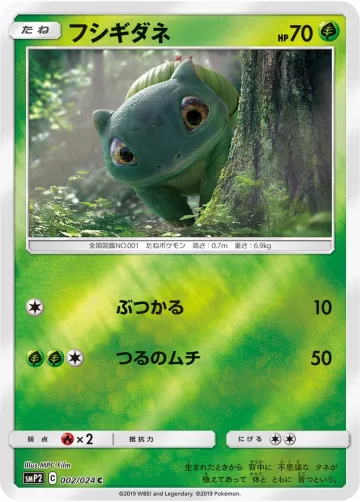 フシギダネ C