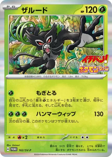 ザルード PROMO