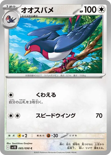 オオスバメ C
