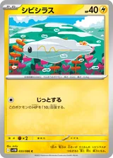 シビシラス C マスターボール柄ミラー