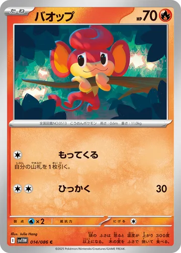 バオップ C マスターボール柄ミラー