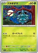 クヌギダマ C