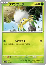 タマンチュラ C