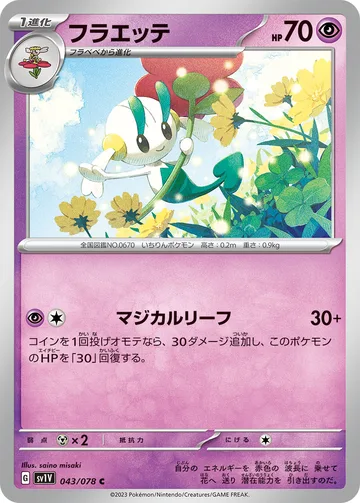 フラエッテ C