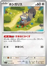 ホシガリス C