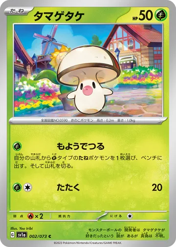 タマゲタケ C