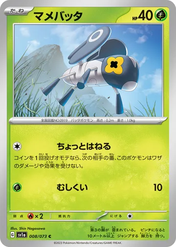 マメバッタ C
