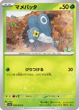 マメバッタ C