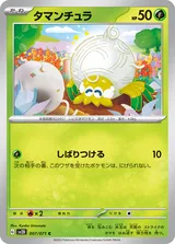 タマンチュラ C