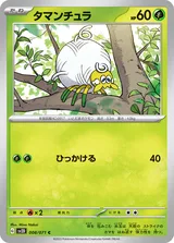 タマンチュラ C