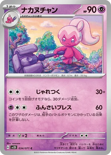 ナカヌチャン C
