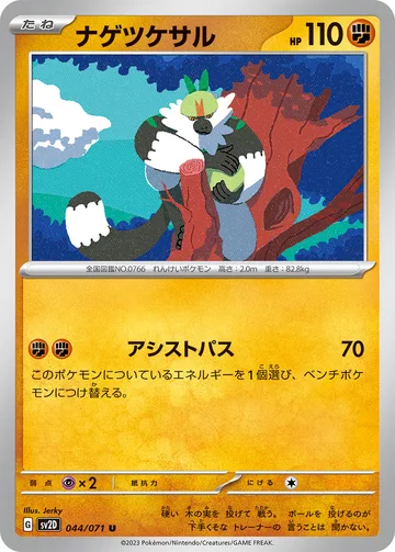 ナゲツケサル U