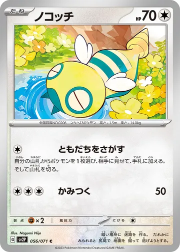 ノコッチ C