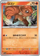 ロコン C