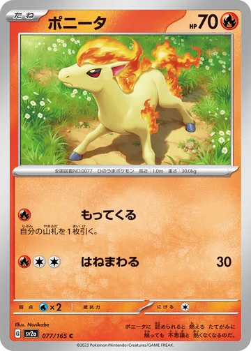 ポニータ C