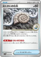 古びたかいの化石 C