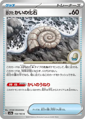 古びたかいの化石 C