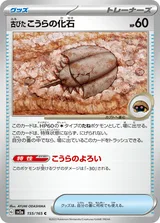 古びたこうらの化石 C