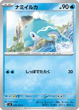ナミイルカ C