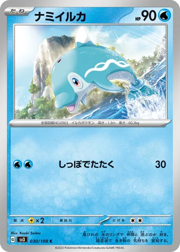 ナミイルカ C