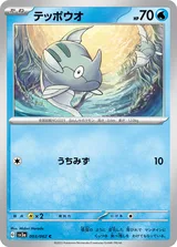 テッポウオ C