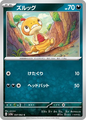 ズルッグ C