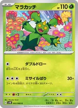 マラカッチ C