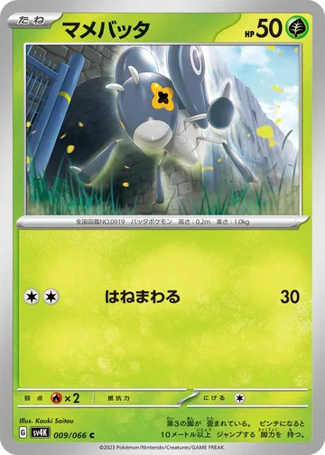 マメバッタ C