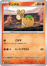 ドンメル C