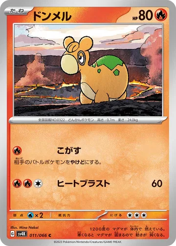ドンメル C