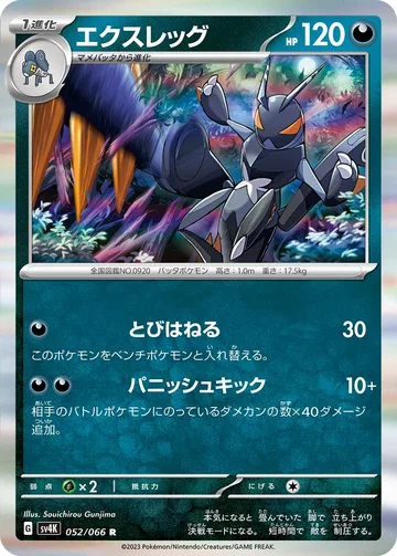 エクスレッグ R