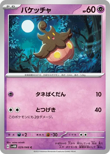 バケッチャ C