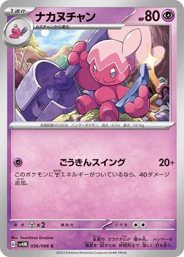 ナカヌチャン C