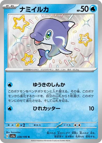ナミイルカ S