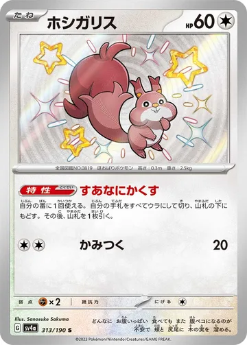 ホシガリス S