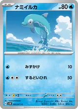 ナミイルカ C