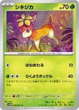 シキジカ C
