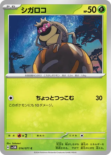 シガロコ C