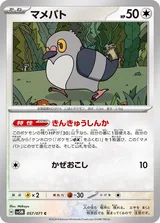 マメパト C