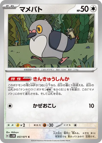 マメパト C