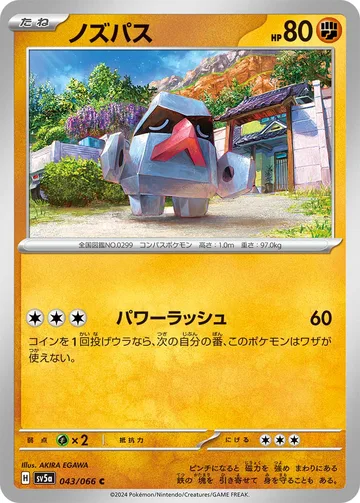 ノズパス C