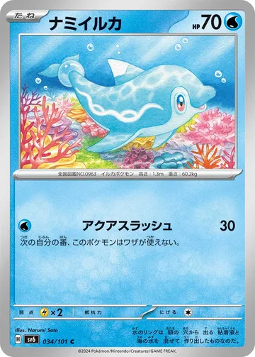 ナミイルカ C
