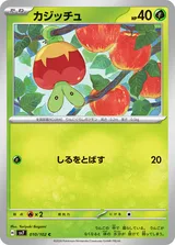 カジッチュ C