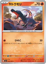 ヤトウモリ C
