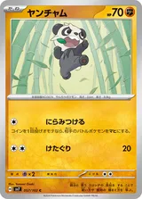 ヤンチャム C
